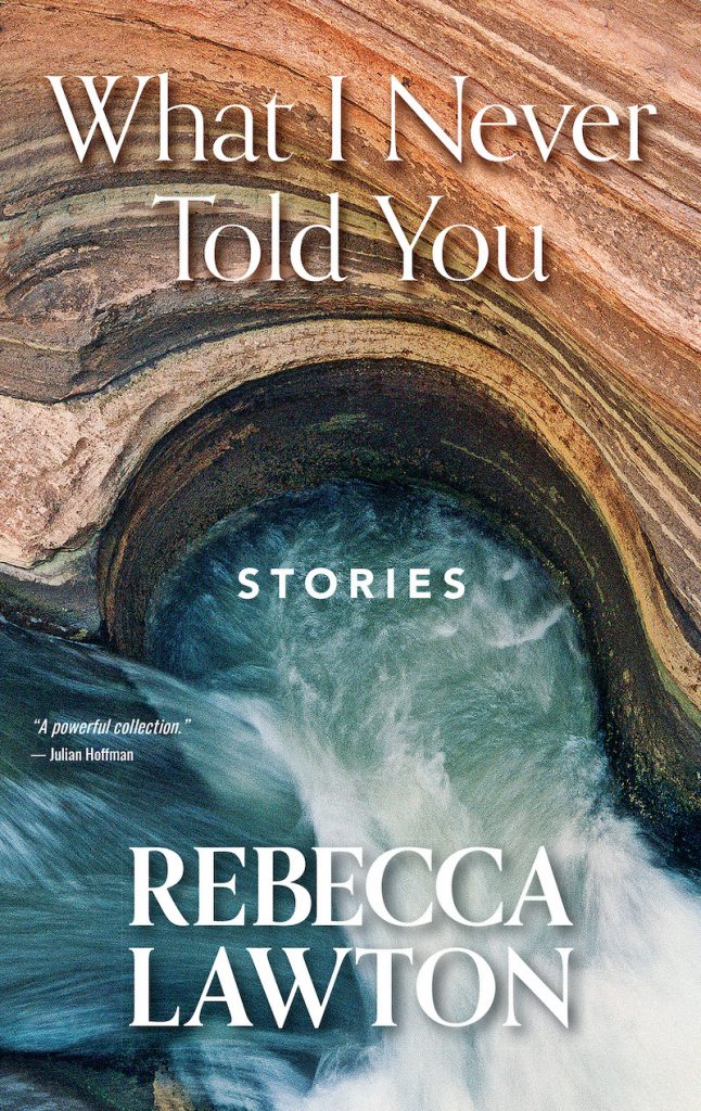 Book Cover: What I Never Told You: Stories