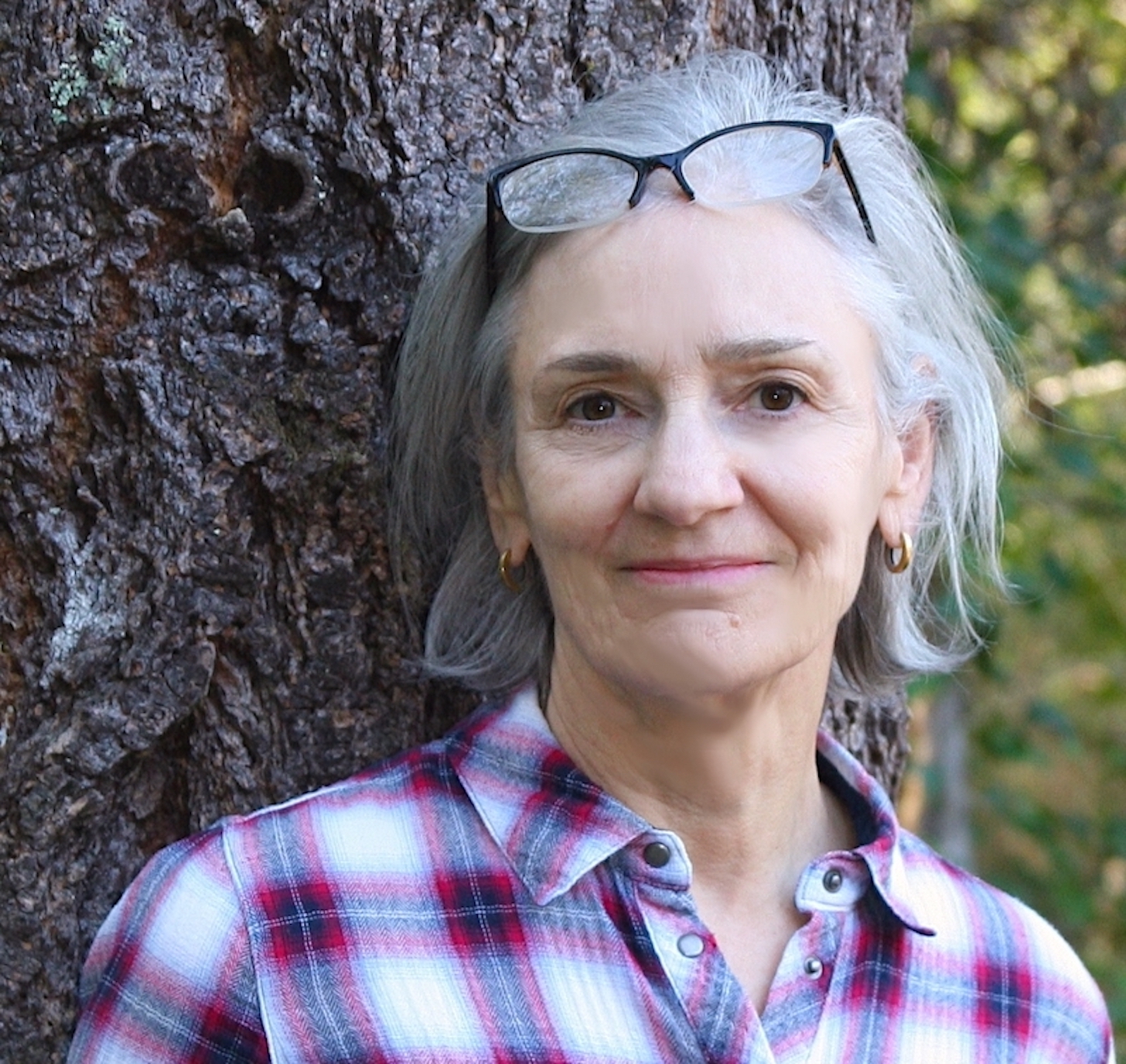 2025_Park_Ave_Author_Tree_Color_Larger